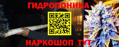 a pvp Ирбит