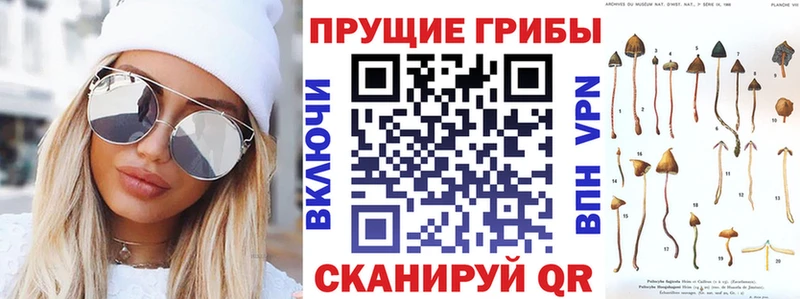 Псилоцибиновые грибы мухоморы  мега ссылки  Нововоронеж 