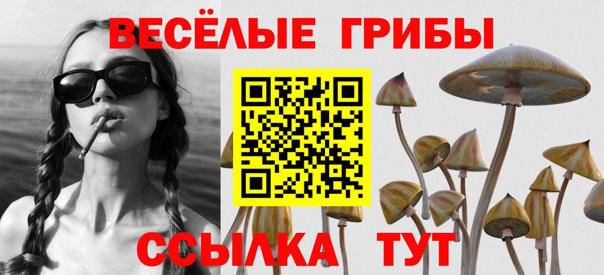 Псилоцибиновые грибы ЛСД  Вход с VPN  Нововоронеж 